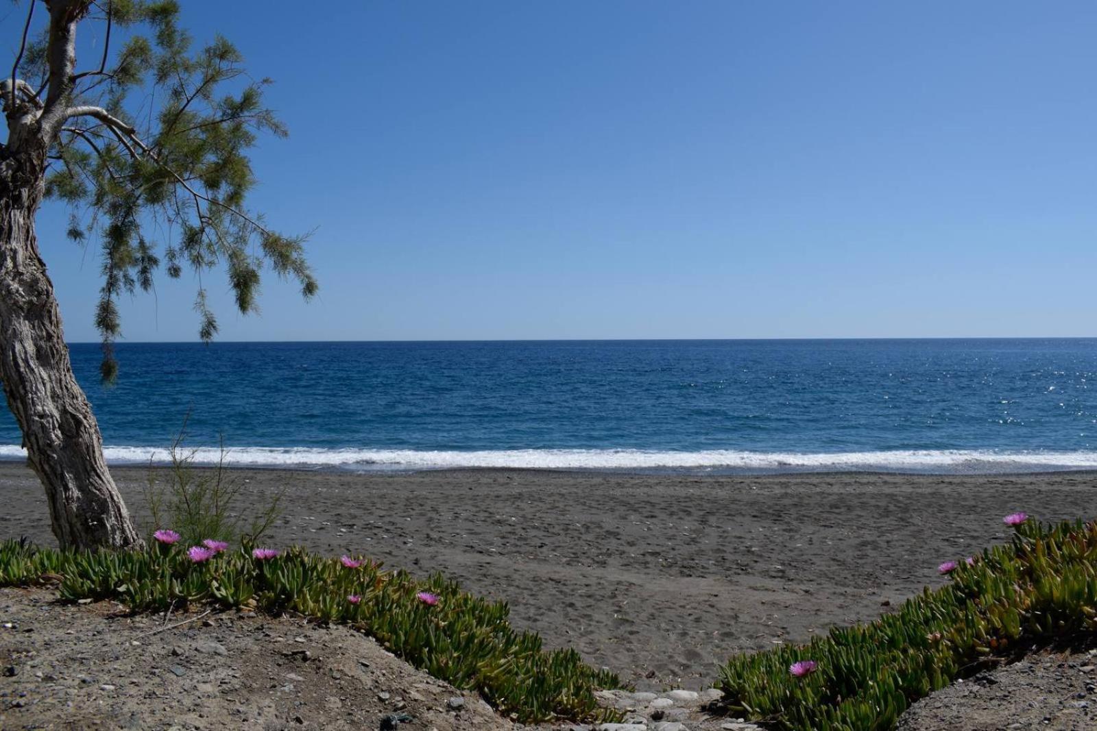 Soso'S Apartments -Vacations Next To The Beach Psari Forada Exterior foto